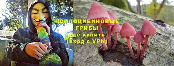кокс Гусь-Хрустальный