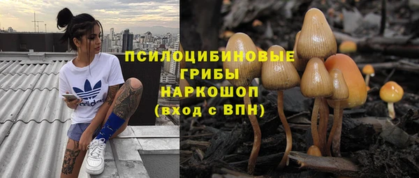 ECSTASY Гусиноозёрск