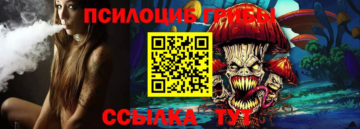 Псилоцибиновые грибы GOLDEN TEACHER Дюртюли